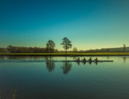 entdecken sie spezialisierte themen rund um kryptowährungen, von aktuellen trends bis hin zu tiefgehenden analysen der krypto-nische.