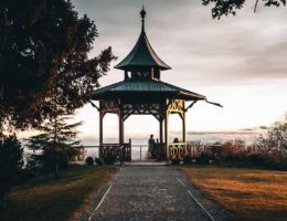 entdecken sie die besten foodblogs aus &ouml;sterreich mit leckeren rezepten, kulinarischen tipps und regionalen spezialit&auml;ten.