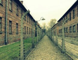 gedenken an den holocaust: erinnern, um die vergangenheit zu bewahren und die lehren für eine friedliche zukunft zu ziehen.