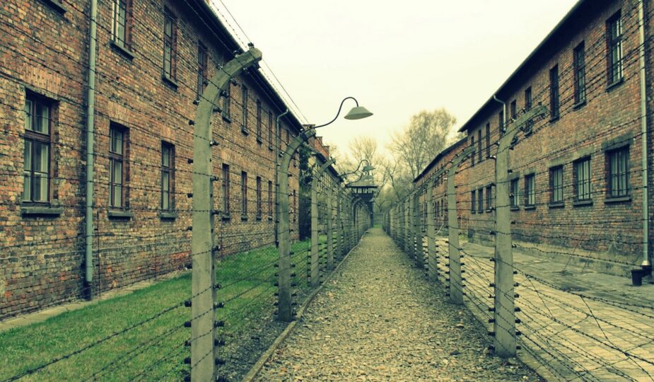 gedenken an den holocaust: erinnern, um die vergangenheit zu bewahren und die lehren f&uuml;r eine friedliche zukunft zu ziehen.