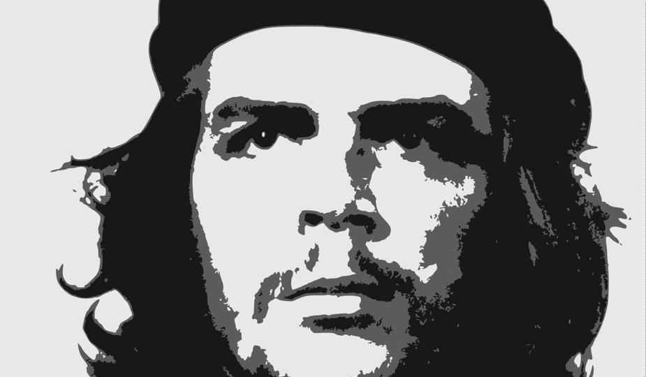 f&uuml;hrer der identit&auml;ren bewegung: einblick in die ideologie, ziele und aktivit&auml;ten der politischen gruppierung.