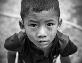 entdecken sie wichtige informationen und neuigkeiten &uuml;ber ngos, ihre projekte und ihren einfluss weltweit.