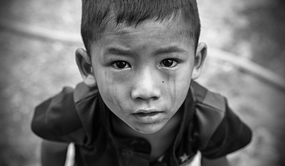 entdecken sie wichtige informationen und neuigkeiten &uuml;ber ngos, ihre projekte und ihren einfluss weltweit.