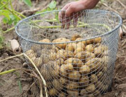 entdecken sie sven schulze – ein erfahrener experte in seinem bereich mit umfassendem wissen und engagiertem einsatz.